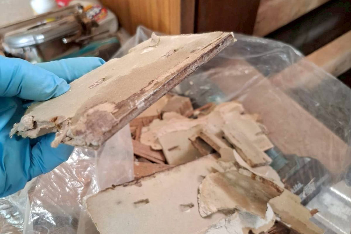 体液の染み込みを確認する遺品整理ロードのスタッフが