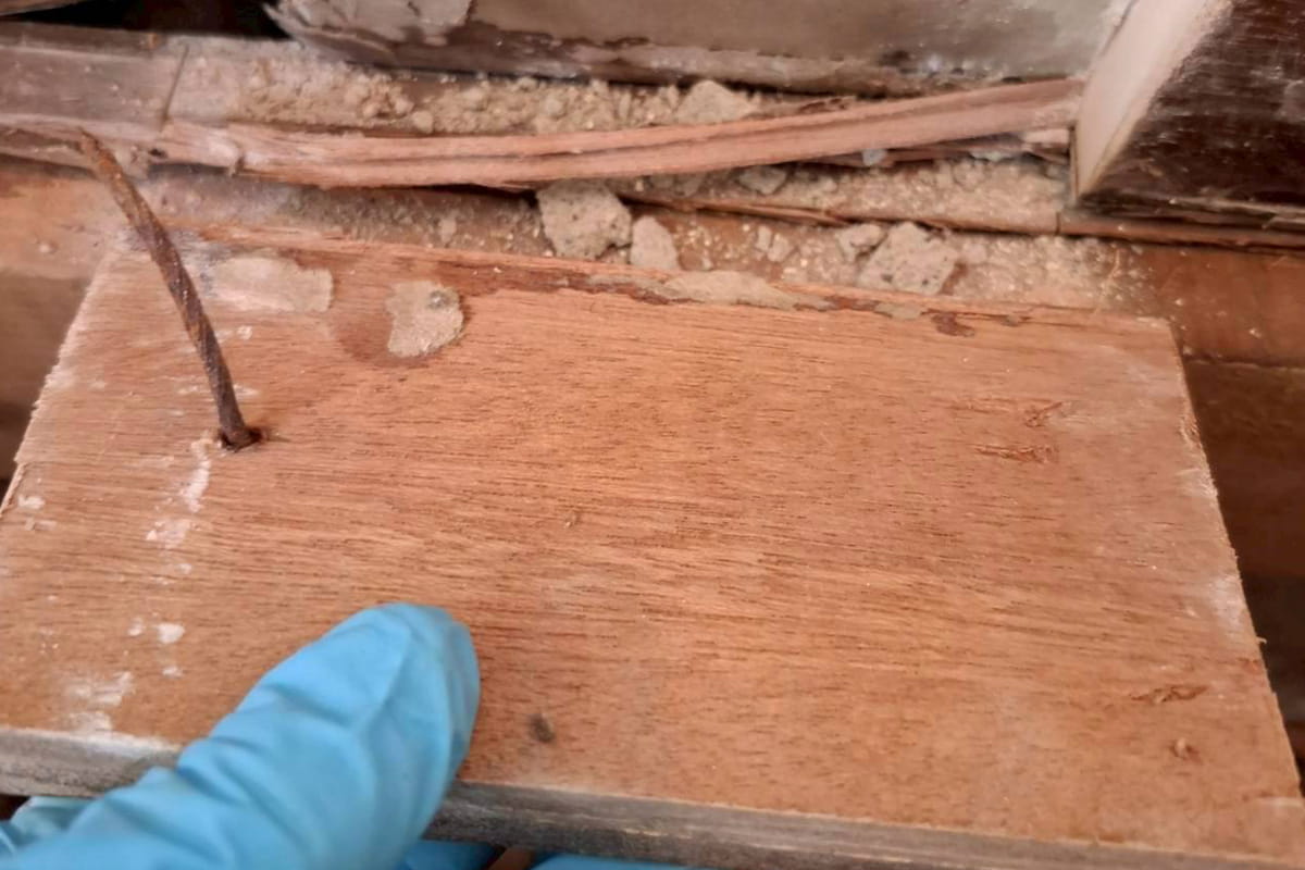 体液の染み込みを確認する遺品整理ロードのスタッフが