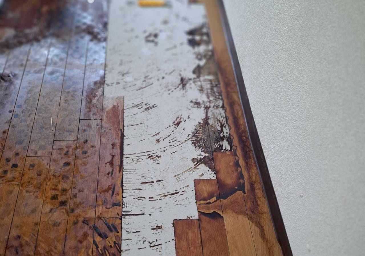 特殊清掃現場のロードのスタッフによる作業の様子